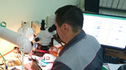 Assembling electronics for calipers